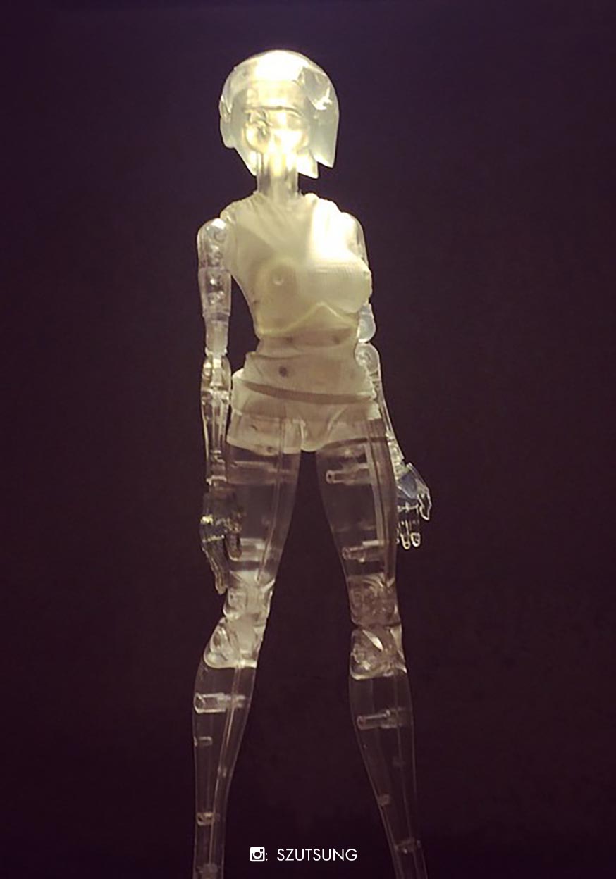 Pascha Cyborg